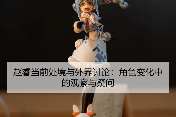 赵睿当前处境与外界讨论：角色变化中的观察与疑问